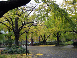 hibiya_icho