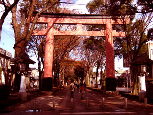 hikawajinja_torii