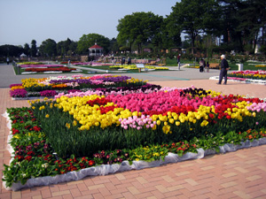 全景