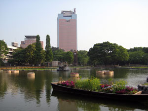 フロート花壇と県庁
