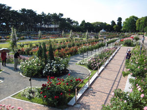 全景