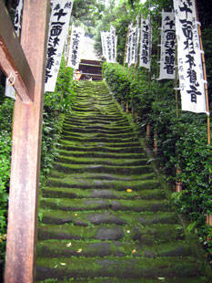 杉本寺