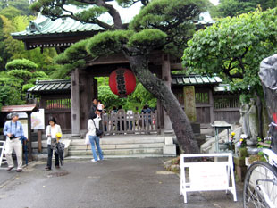 長谷寺