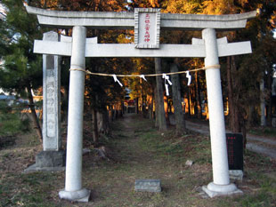 torii